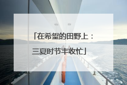 在希望的田野上：三夏时节丰收忙