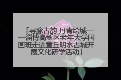 寻脉古韵 丹青绘城——淄博高新区老年大学国画班走进章丘明水古城开展文化研学活动