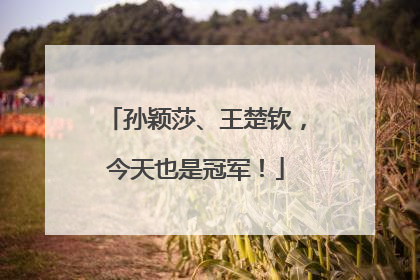 孙颖莎、王楚钦，今天也是冠军！