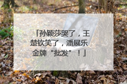 孙颖莎哭了，王楚钦笑了，潘展乐金牌“批发”！