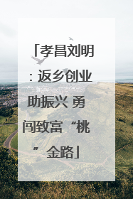孝昌刘明：返乡创业助振兴 勇闯致富“桃”金路