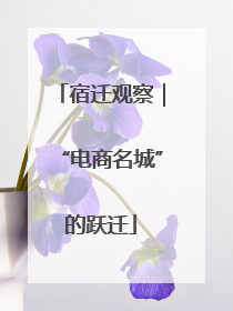 宿迁观察｜“电商名城”的跃迁