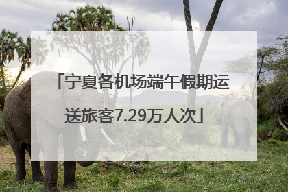 宁夏各机场端午假期运送旅客7.29万人次