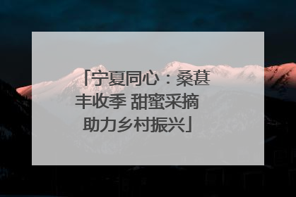 宁夏同心：桑葚丰收季 甜蜜采摘助力乡村振兴