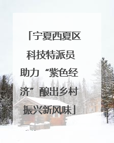 宁夏西夏区 科技特派员助力“紫色经济”酿出乡村振兴新风味