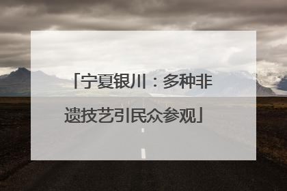宁夏银川：多种非遗技艺引民众参观