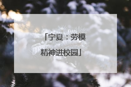 宁夏：劳模精神进校园