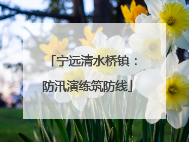 宁远清水桥镇：防汛演练筑防线