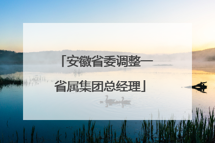 安徽省委调整一省属集团总经理