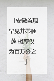 安徽首现罕见并蒂睡莲 概率仅为百万分之一