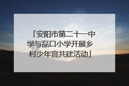 安阳市第二十一中学与磊口小学开展乡村少年宫共建活动