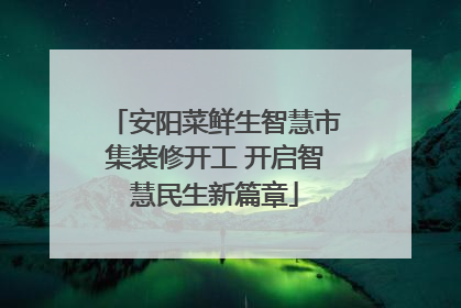 安阳菜鲜生智慧市集装修开工 开启智慧民生新篇章