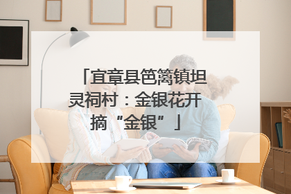 宜章县笆篱镇坦灵祠村：金银花开摘“金银”
