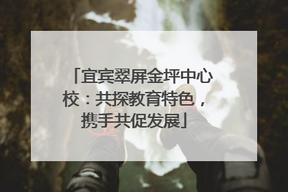 宜宾翠屏金坪中心校：共探教育特色，携手共促发展