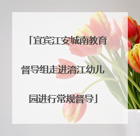 宜宾江安城南教育督导组走进淯江幼儿园进行常规督导