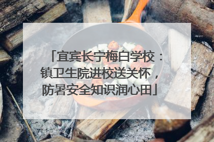 宜宾长宁梅白学校：镇卫生院进校送关怀，防暑安全知识润心田
