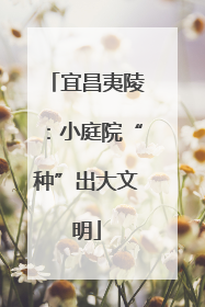 宜昌夷陵：小庭院“种”出大文明