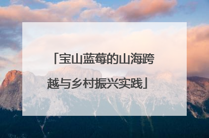宝山蓝莓的山海跨越与乡村振兴实践