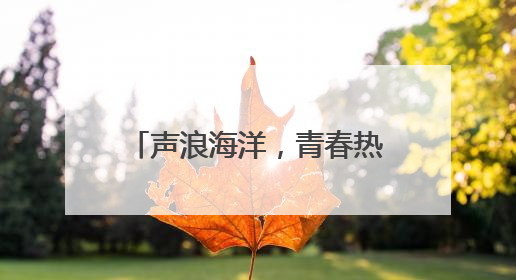 声浪海洋，青春热浪！德州天衢新区万人音乐节燃情绽放