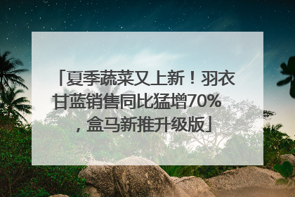 夏季蔬菜又上新！羽衣甘蓝销售同比猛增70%，盒马新推升级版