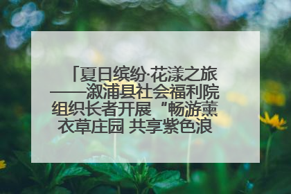 夏日缤纷·花漾之旅——溆浦县社会福利院组织长者开展“畅游薰衣草庄园 共享紫色浪漫”户外活动