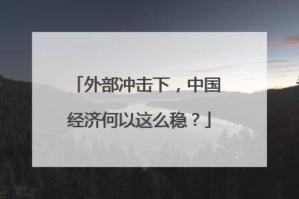 外部冲击下，中国经济何以这么稳？