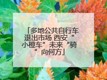 多地公共自行车退出市场 西安“小橙车”未来“骑”向何方
