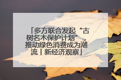 多方联合发起“古树名木保护计划”，推动绿色消费成为潮流丨新经济观察