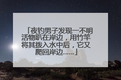 夜钓男子发现一不明活物趴在岸边，用竹竿将其拨入水中后，它又爬回岸边……