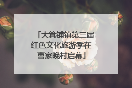 大箕铺镇第三届红色文化旅游季在曹家晚村启幕
