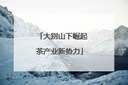 大别山下崛起茶产业新势力