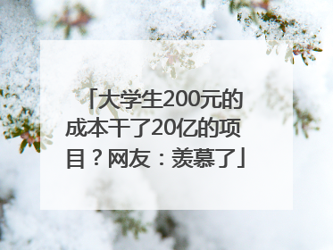 大学生200元的成本干了20亿的项目？网友：羡慕了