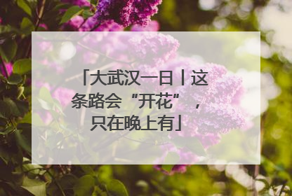大武汉一日丨这条路会“开花”，只在晚上有