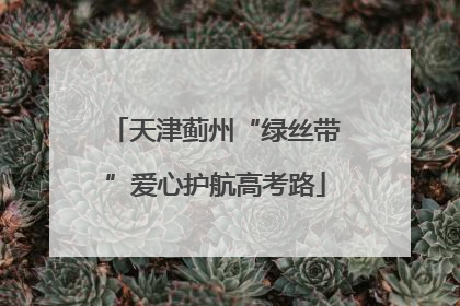 天津蓟州“绿丝带”爱心护航高考路