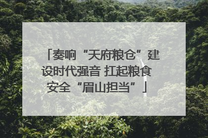 奏响“天府粮仓”建设时代强音 扛起粮食安全“眉山担当”