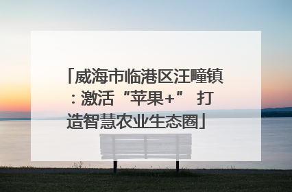 威海市临港区汪疃镇：激活“苹果+” 打造智慧农业生态圈