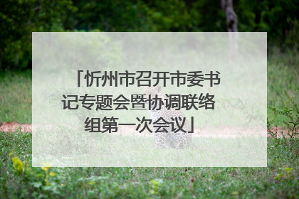 忻州市召开市委书记专题会暨协调联络组第一次会议
