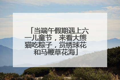 当端午假期遇上六一儿童节，来看大熊猫吃粽子，赏绣球花和马鞭草花海