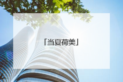 当夏荷美