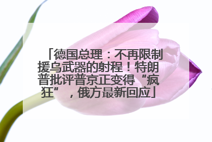 德国总理：不再限制援乌武器的射程！特朗普批评普京正变得“疯狂”，俄方最新回应