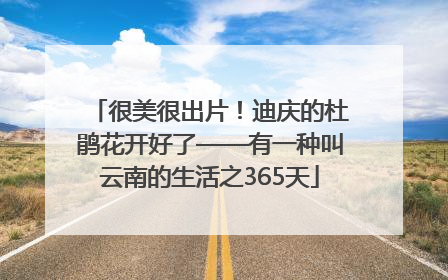 很美很出片！迪庆的杜鹃花开好了——有一种叫云南的生活之365天