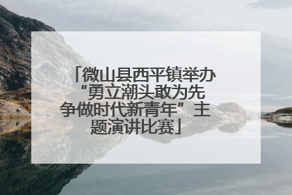 微山县西平镇举办“勇立潮头敢为先 争做时代新青年”主题演讲比赛