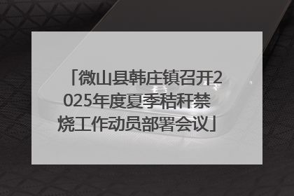 微山县韩庄镇召开2025年度夏季秸秆禁烧工作动员部署会议