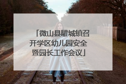 微山县驩城镇召开学区幼儿园安全暨园长工作会议