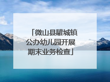 微山县驩城镇公办幼儿园开展期末业务检查