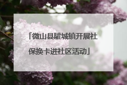 微山县驩城镇开展社保换卡进社区活动