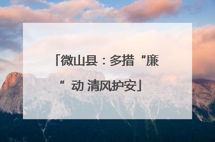 微山县：多措“廉”动 清风护安