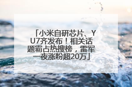 小米自研芯片、YU7齐发布！相关话题霸占热搜榜，雷军一夜涨粉超20万