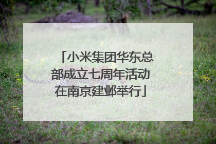 小米集团华东总部成立七周年活动在南京建邺举行