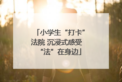小学生“打卡”法院 沉浸式感受“法”在身边